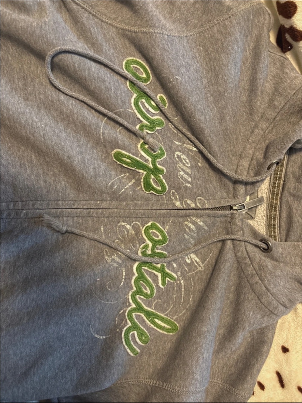 Aeropostale Zip-Up Hoodie